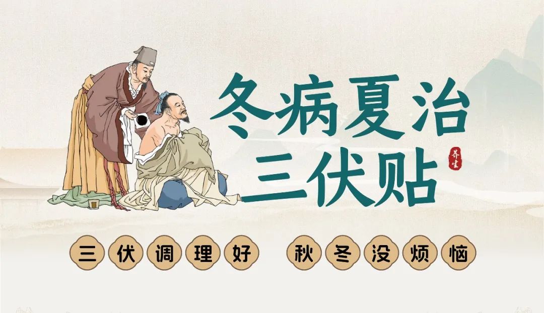 三伏贴展架.jpg